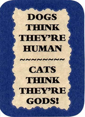 Dogs Think They're Human Cats Think They're Gods 3 x 4 Love Note Humorous Sayi