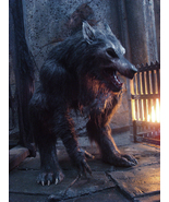 Lycan Transmogrification. Kerrack&#39;s Ritual to Become a Werewolf / Lycan - $999.00
