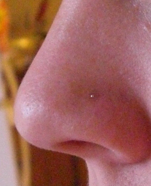 Sterling Silver 1mm Ball Nose Stud Bobble Ball Ended. 22g stud