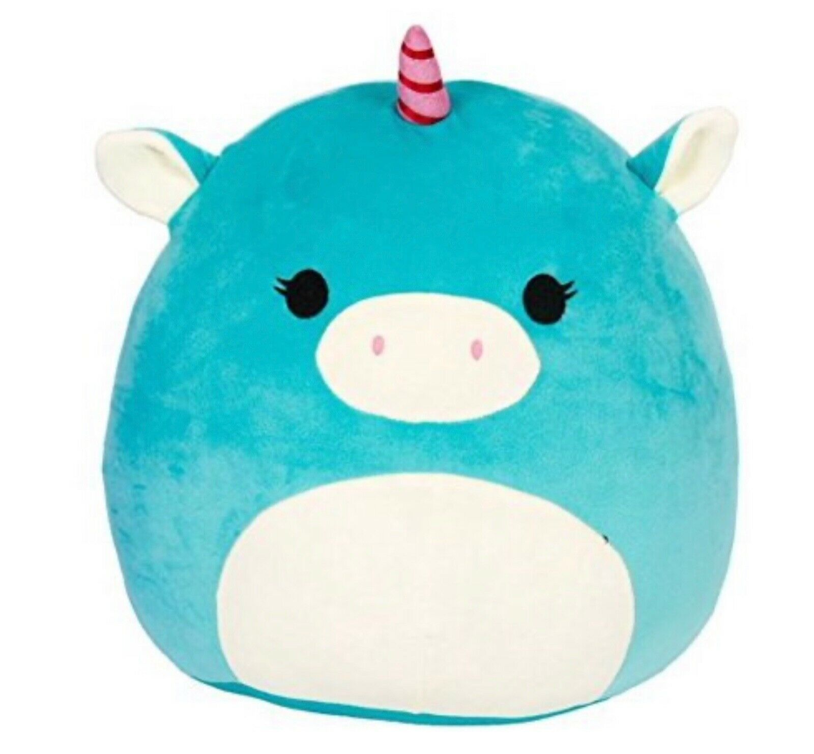 squishmallow teddy