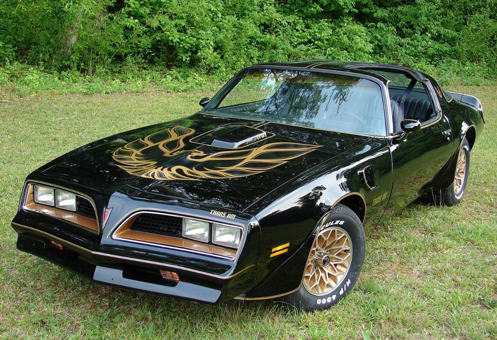 1978 PONTIAC TRANS AM POSTER GREEN 24 x 36 INCH BANDIT BLACK - Posters ...