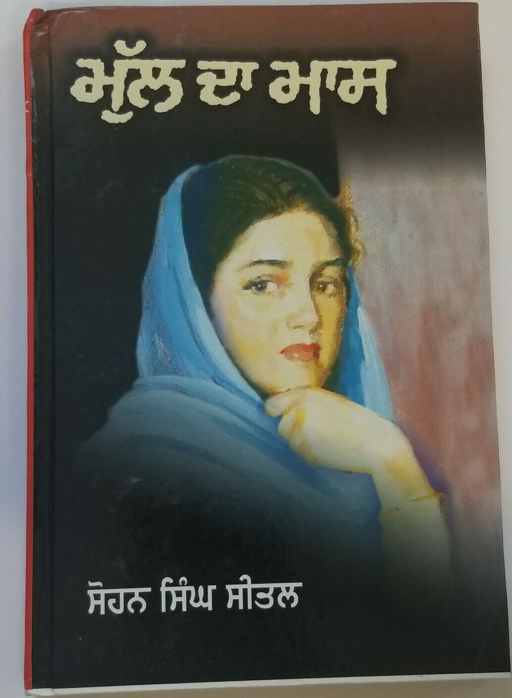 biography books in punjabi