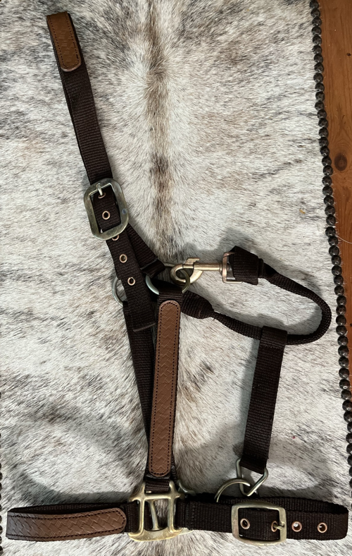 Halter w leather brown