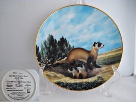 The Black Footed Ferret Endangered Species Porcelain Collector Plate - $19.89
