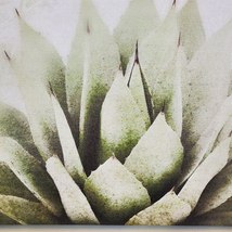Succulent Art, Canvas Prints, set of 2, Gardening House Plants Wall Art image 7