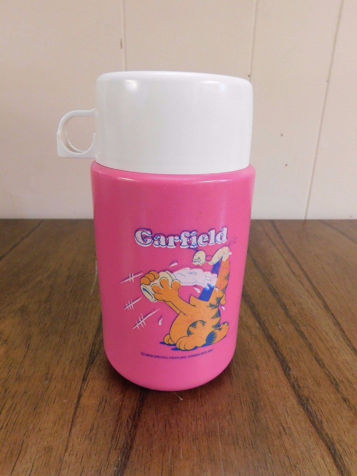 thermos plastic lunch box