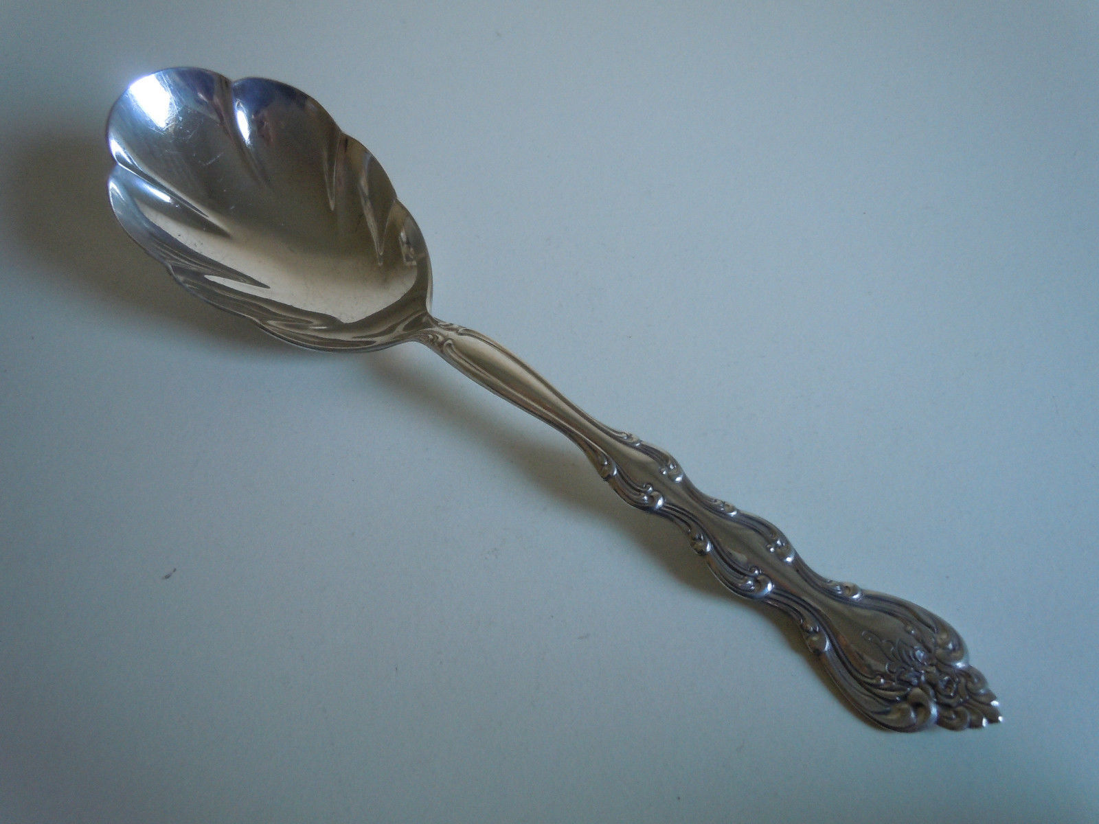 International Interlude Sugar Shell Spoon Flatware