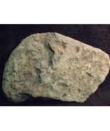 10&quot; FOSSIL SHELLS SHALE STONE - $44.55