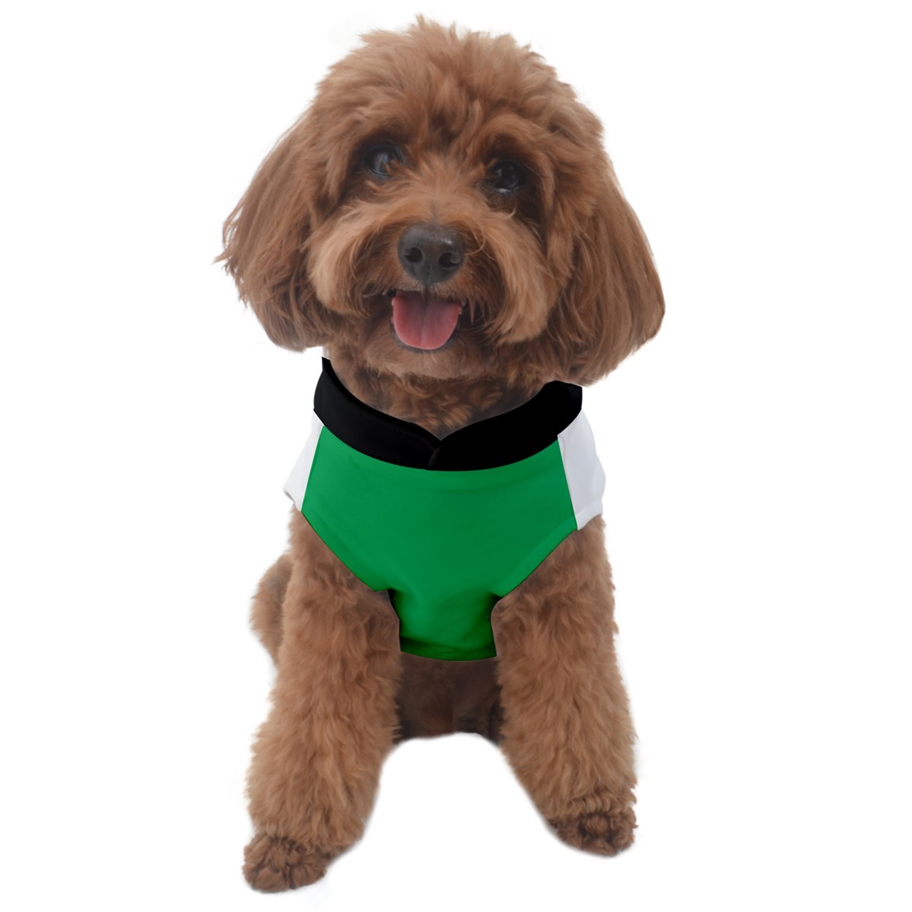 Dog Sweater green lantern - Dog Costumes