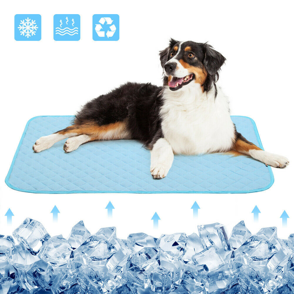 Dog Pet Ice Cooling Mat Pad Gel Cooler For Dog Cat Puppy Comfort Chilly Beds