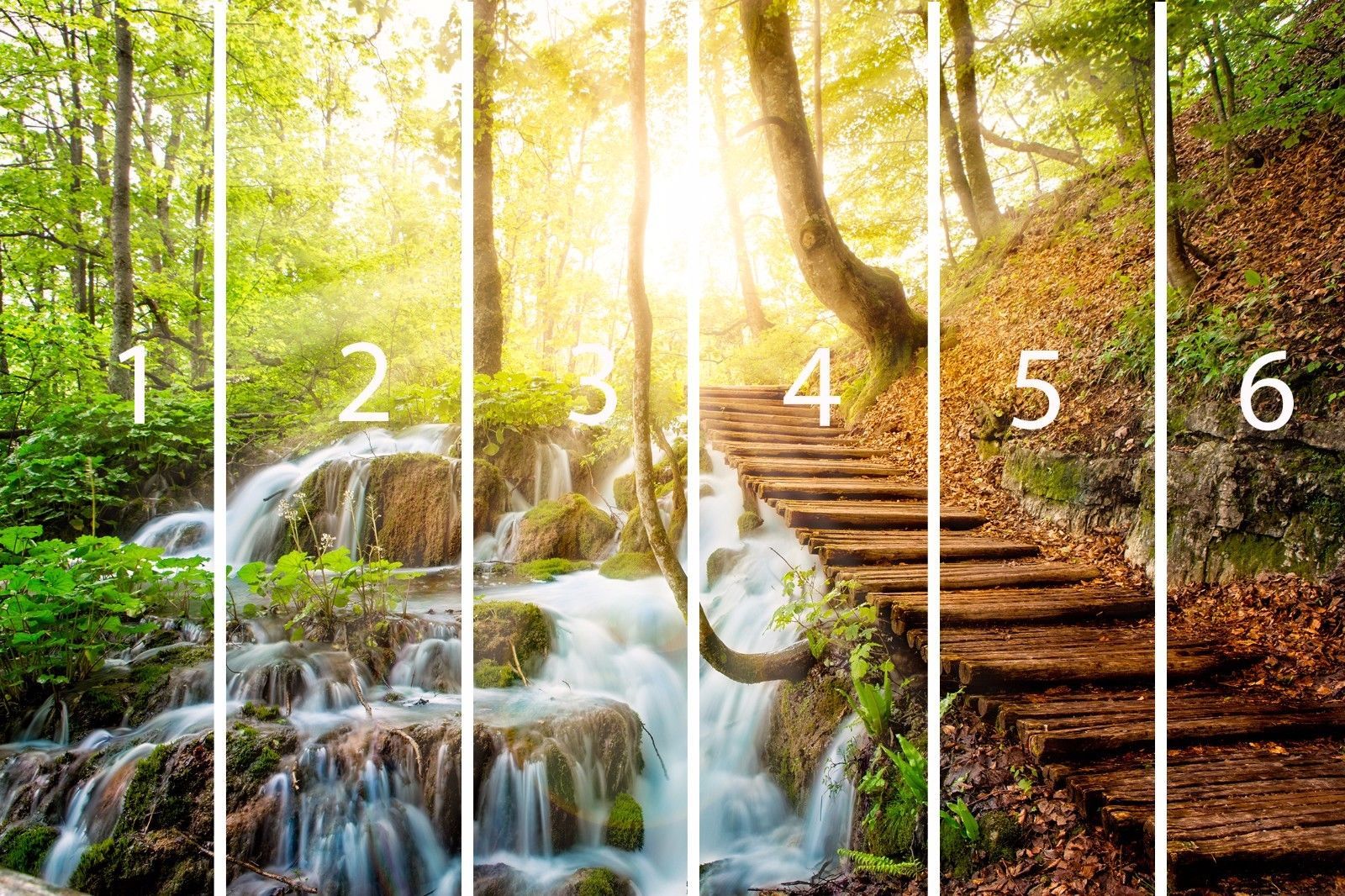 Forest Wall Mural Deep forest stream with crystal Mural Decor Large