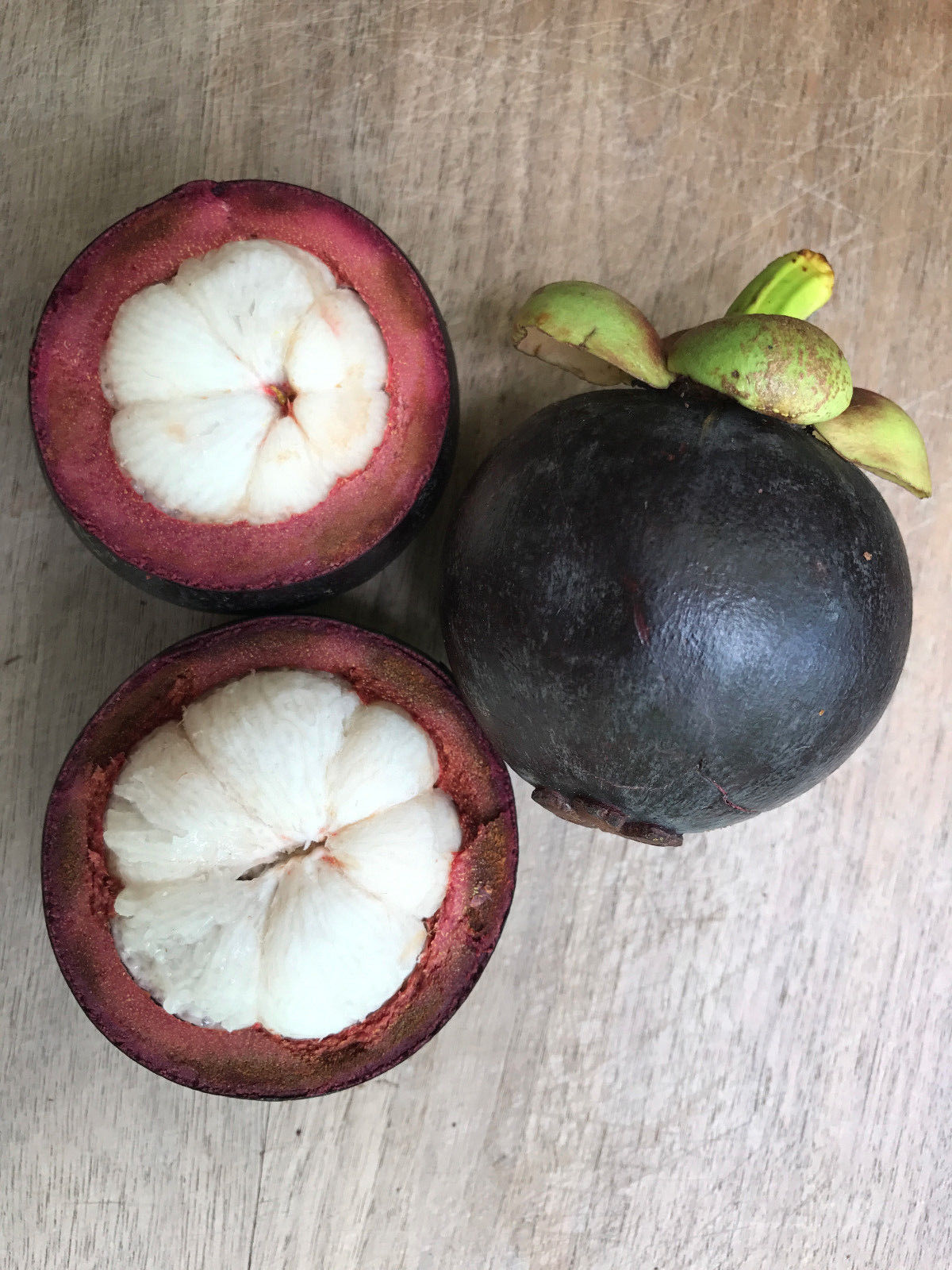 Purple Mangosteen Garcinia Mangostana Florida Tropical King Fruit Pot