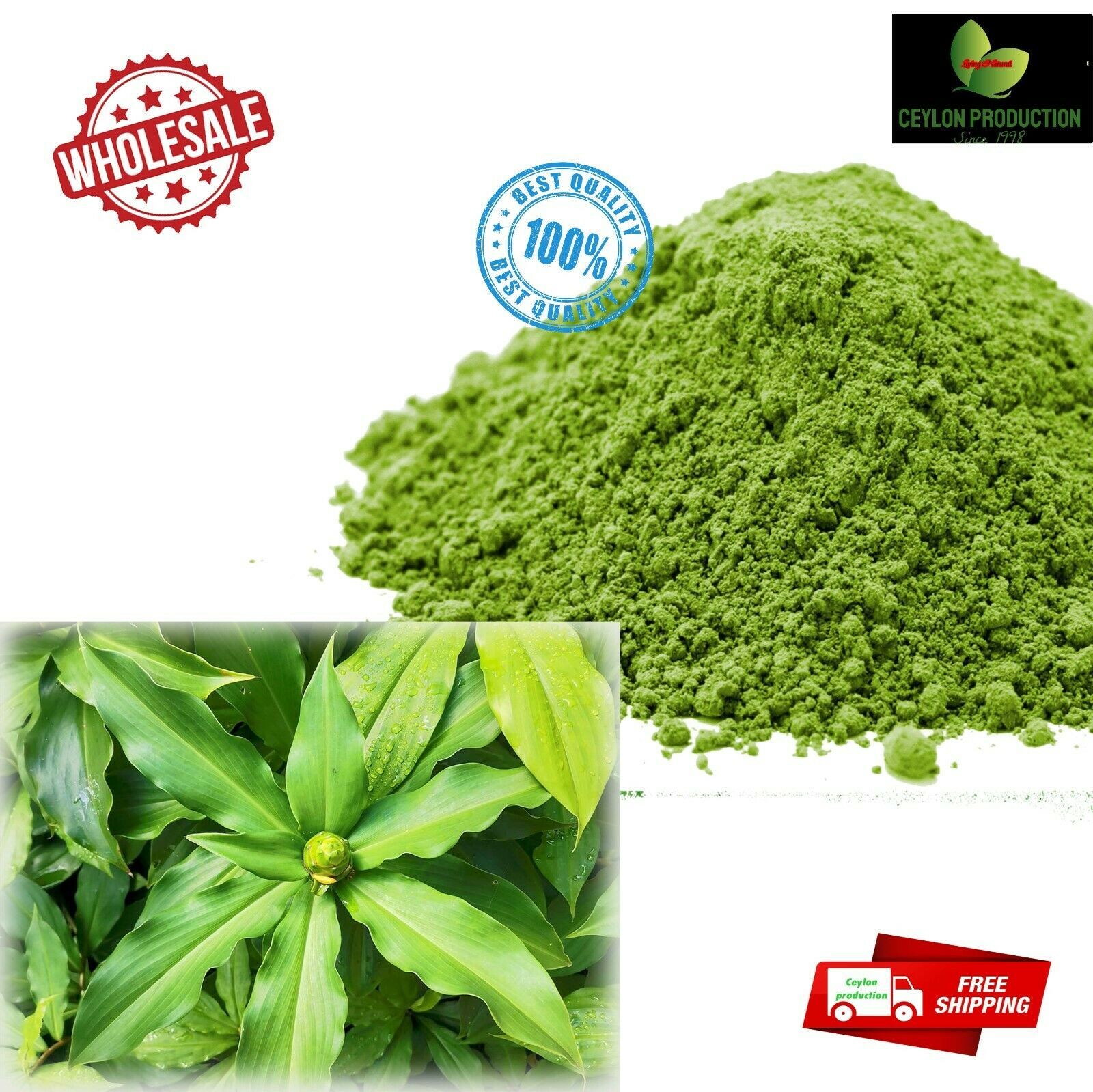 Dried Insulin plant leaves powder/Fiery Costus/ Blood sugar support pure organic