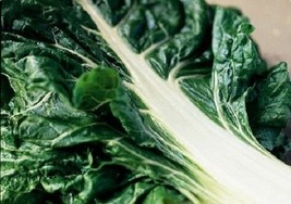 SHIPPED FROM US 600 Fordhook Giant Swiss Chard Beta Vulgaris Seeds, LC03 - $19.00