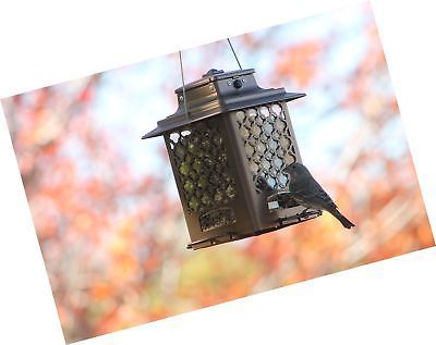 Stokes Select Bird Feeder Metal Hopper Bird And 50 Similar Items