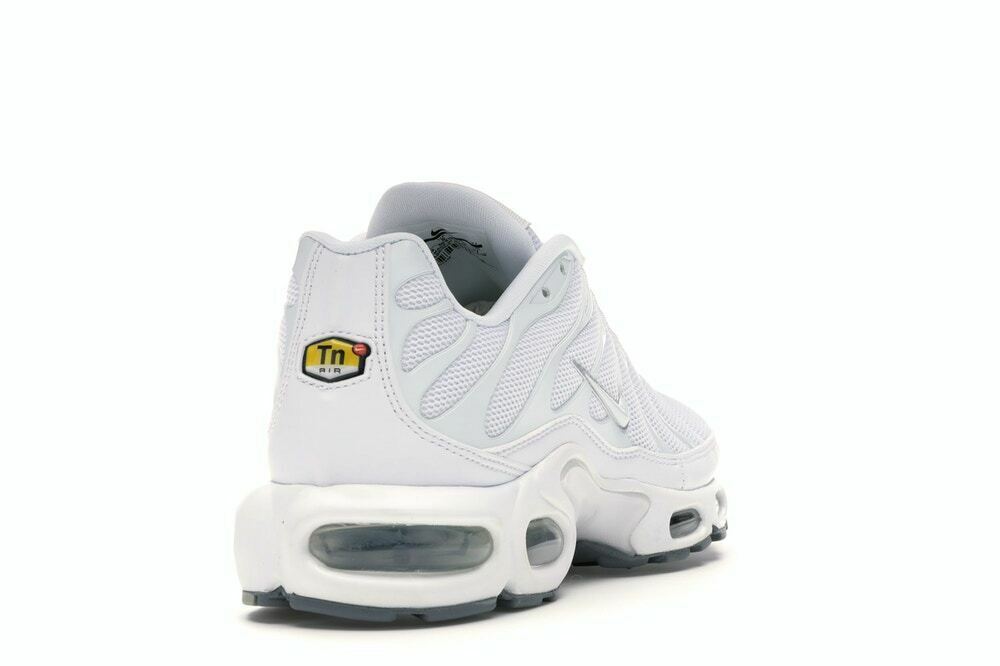 nike air max plus mens shoes