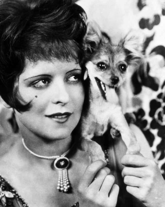 Clara Bow With Dog on Shoulder 8x10 Photo - Photographs