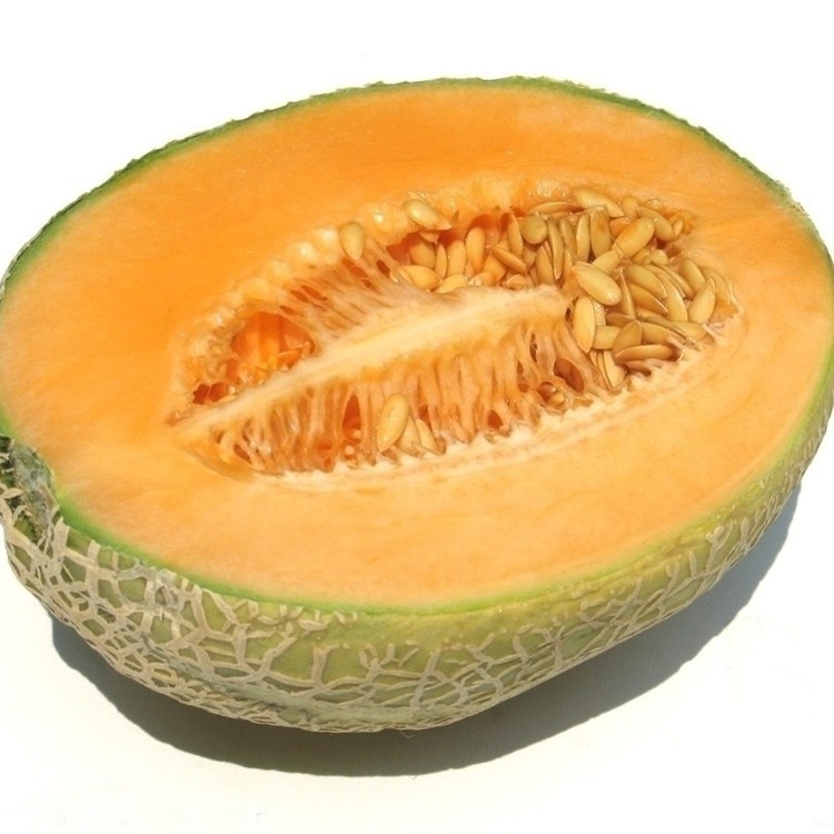 Hami Melon Xinjiang Netted Melon Sweet Crisp And Easy To Grow Fruit