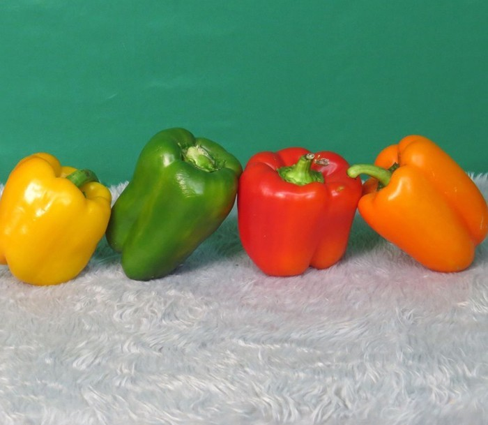 25 PEPERONCINI PEPPER 2019 all non-gmo heirloom vegetable seeds!
