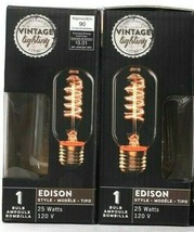 2 Count Vintage Lighting Edison Style 25W 120 V 90 Lumens Light Bulb