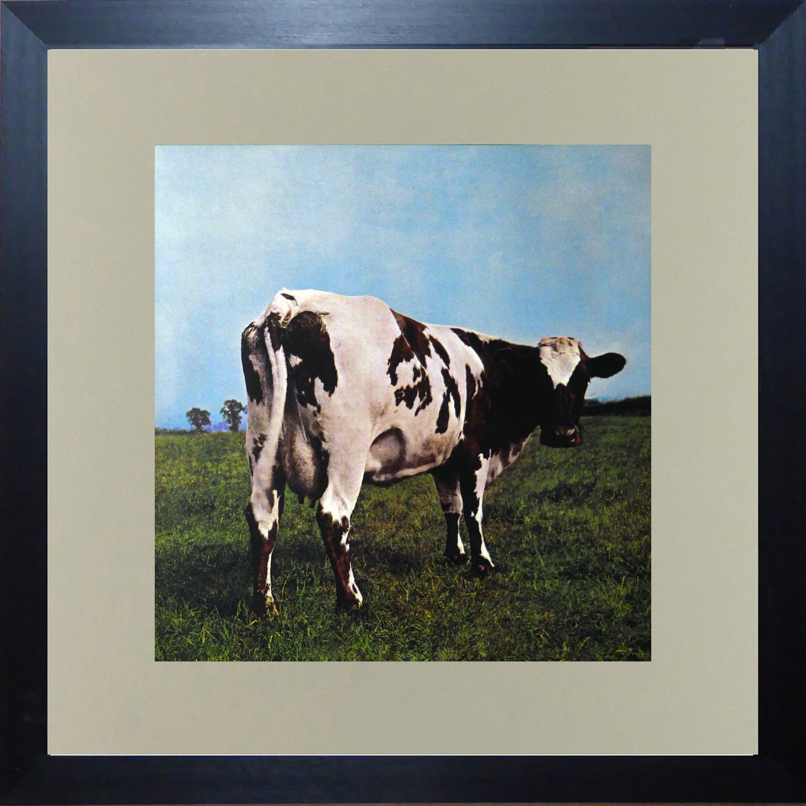 pink floyd- atom heart mother cover image