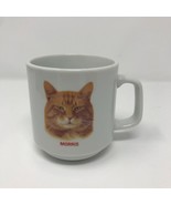 Vintage Morris the Cat Nine 9 Lives Orange Tabby Decorated by Papel Coff... - $39.99
