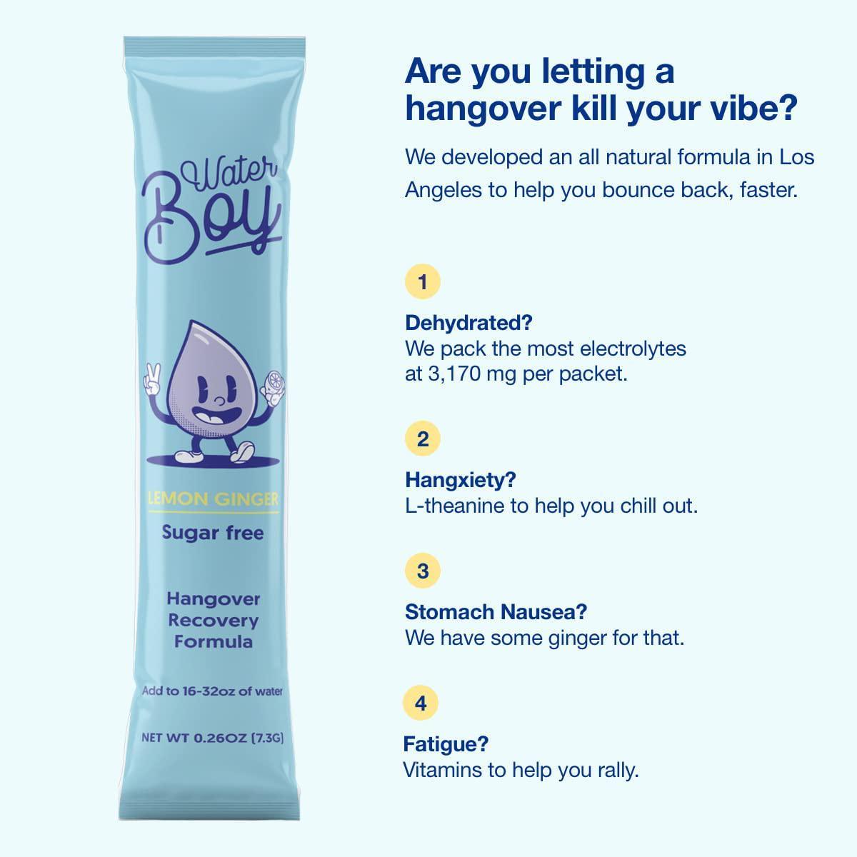 Waterboy Electrolytes Hydration Powder and similar items