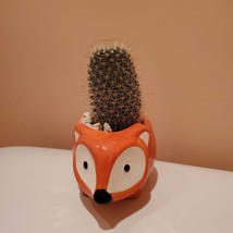 Fox Planter with Cactus, Live Succulent Plant in 5" Orange Ceramic Animal Pot image 6
