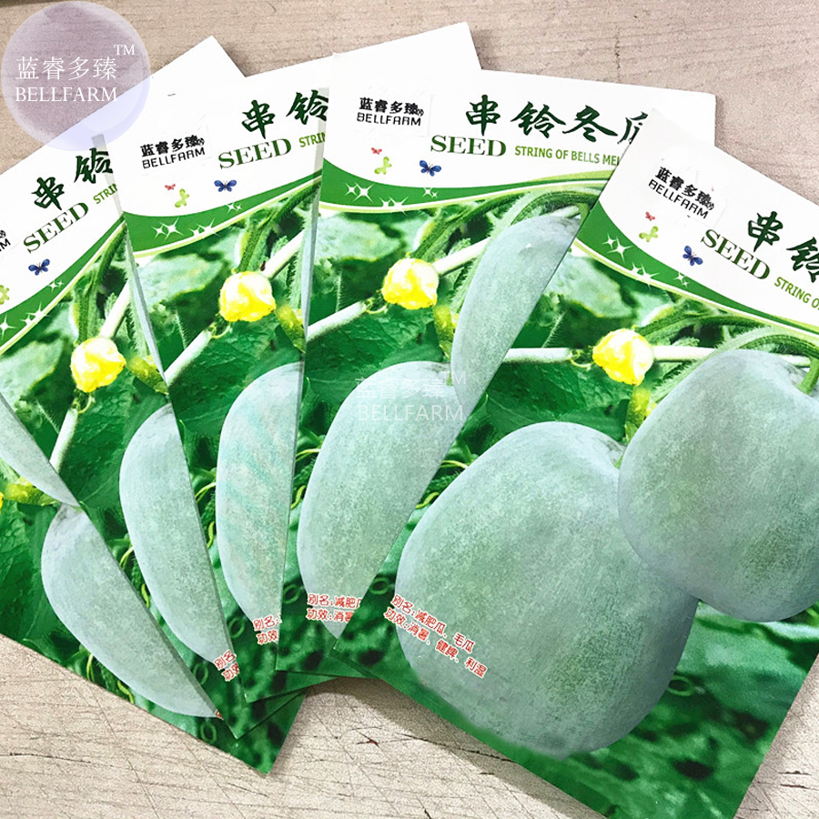 Wax Gourd Small Round White Gourd Vegetable Seeds, 5 packs, 10 seeds/pack, vigor Seeds