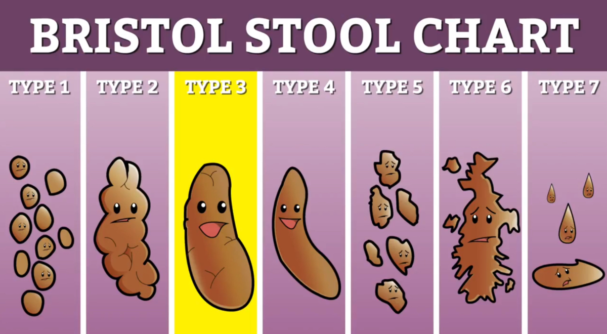 Bristol Stool Chart vinyl sticker cartoon and 50 similar items