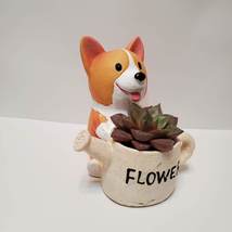 Corgi Planter with Echeveria Succulent, Dog with Watering Can, Animal Planter image 1