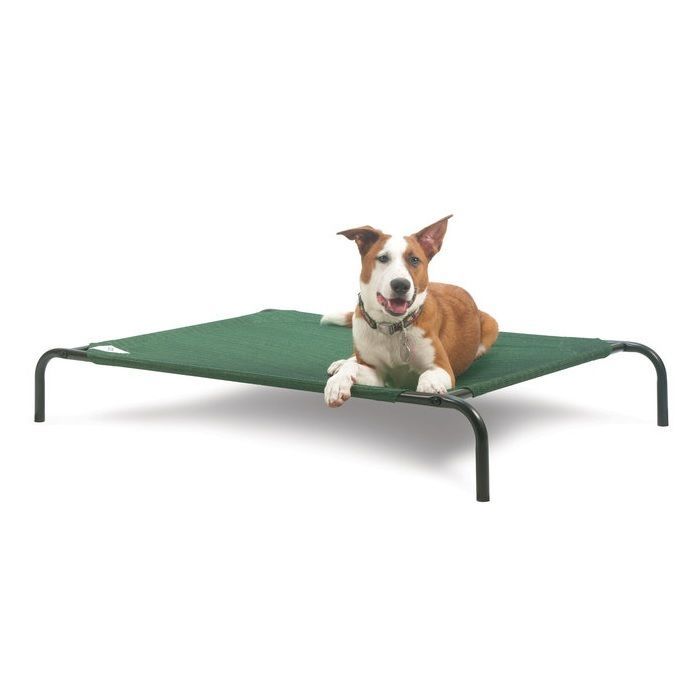 petmate elevated dog bed
