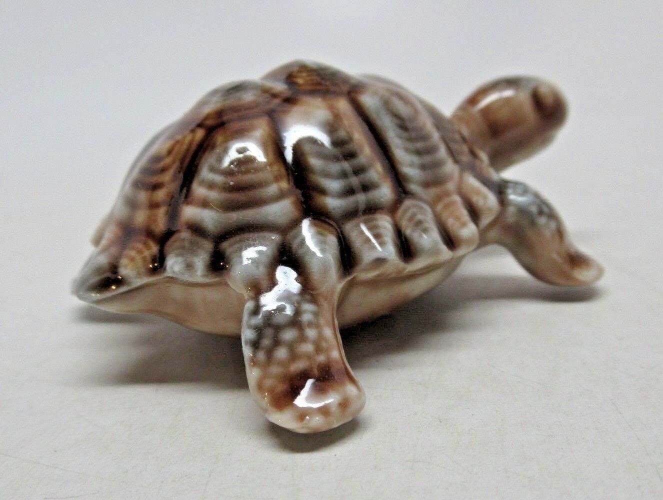 wade turtle