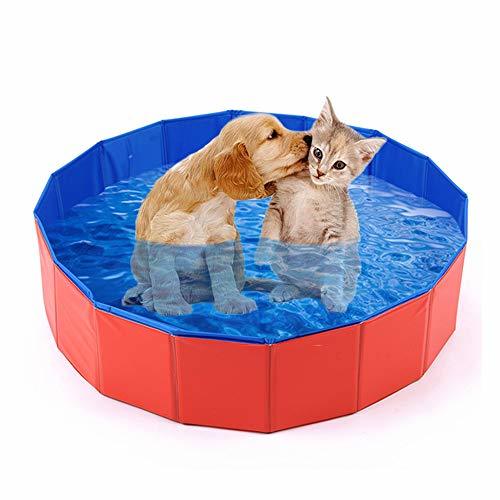 kiddie dog pool