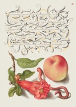14072.Decor Poster.Kitchen Room wall design.Renaissance floral calligraphy art - $14.25+