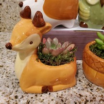Deer Planter with Succulent, Ceramic Animal Plant Pot with live plant, Bambi pot