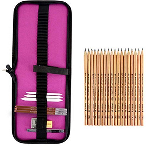 Professional Art Kit Drawing and Sketching Pencil Art Set with Bag/Case,c