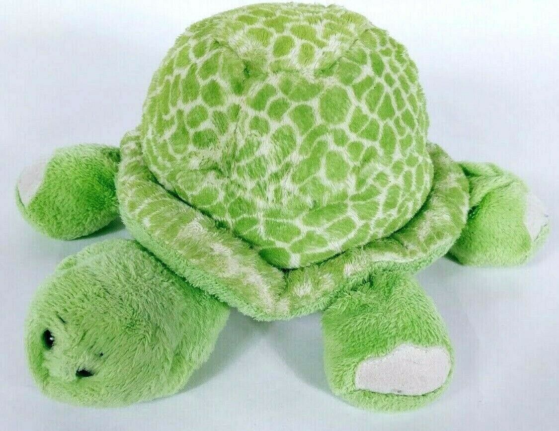 webkinz turtle