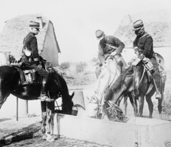 French officers water their horses at a trough 1914 World War I 8x10 Photo - $8.81