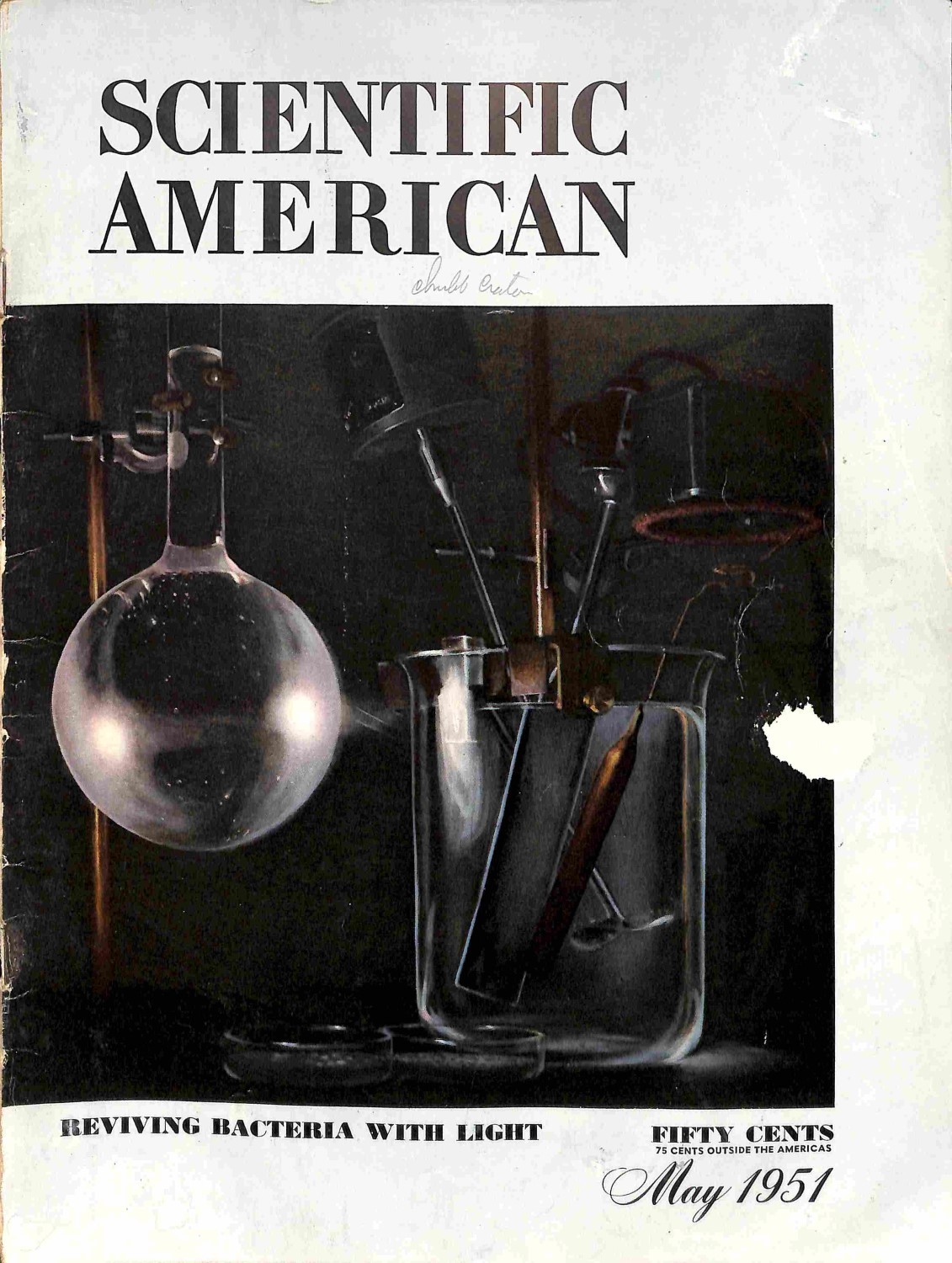 Scientific American, May 1951 Magazine Back Issues