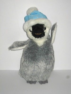 aurora penguin with hat