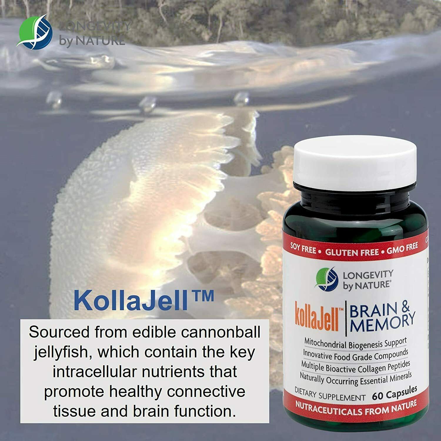 Jellyfish Collagen Rich in Calcium Binding Protein. Brain & Memory