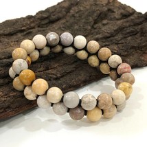 Natural Fossil Coral Gemstone 8 mm beads 7.5&quot; Inches Stretch Bracelet 2S... - $13.45
