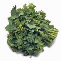 Broccoli Raab Seed, R API Ni, Heirloom, Organic, 100 Seeds, Non Gmo, Vegetable - $3.99