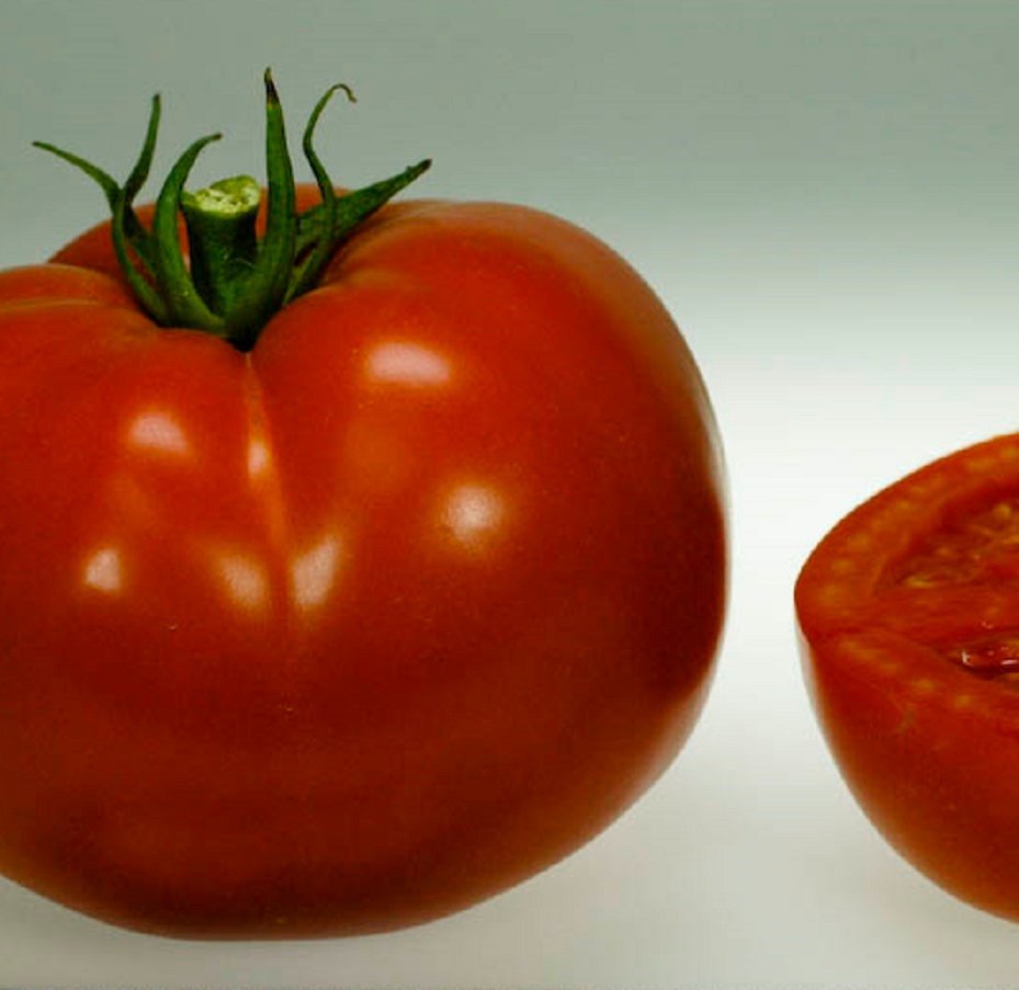 Organic Florida 91 Tomato Seeds20 Count. Popular organic tomato