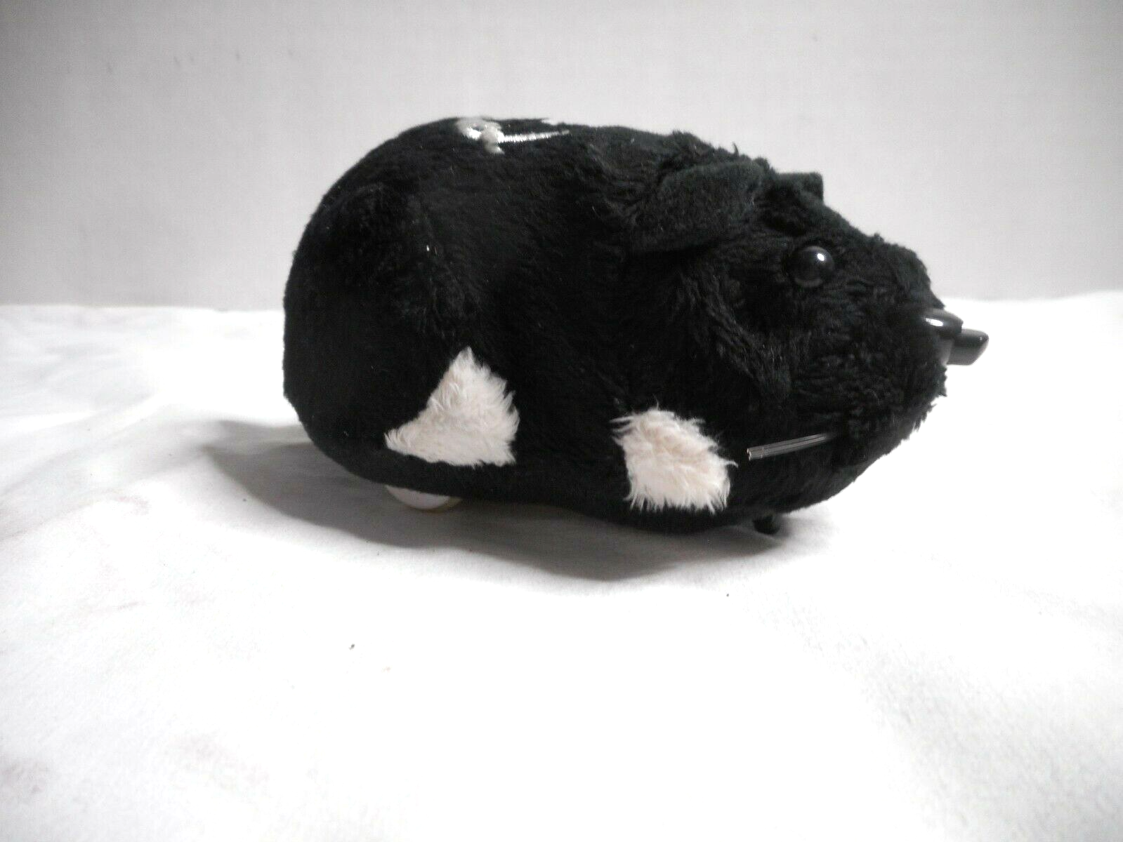 black zhu zhu pet