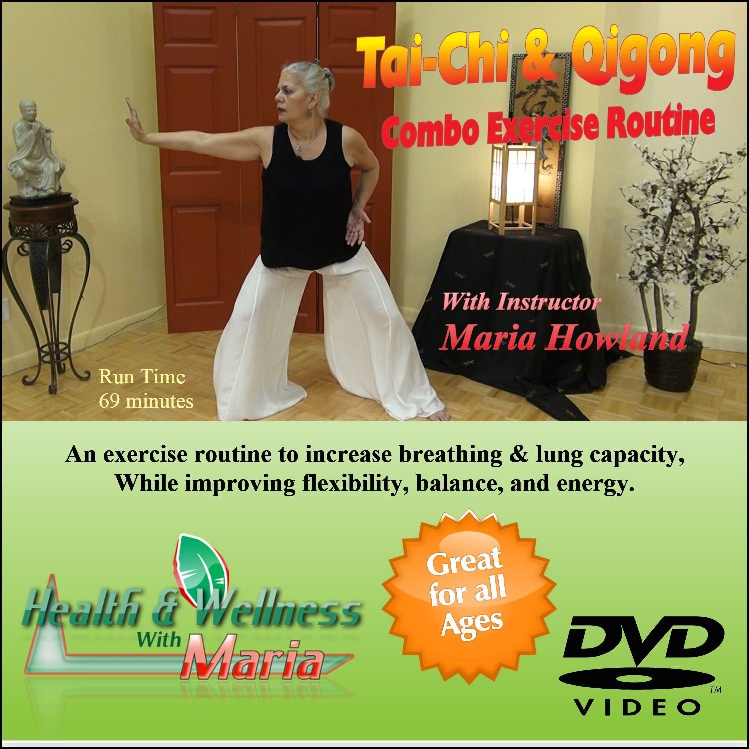 Primary image for "Tai-Chi & Qigong" Easy Exercise Routine, Increase Breathing, & Stamina.  DVD