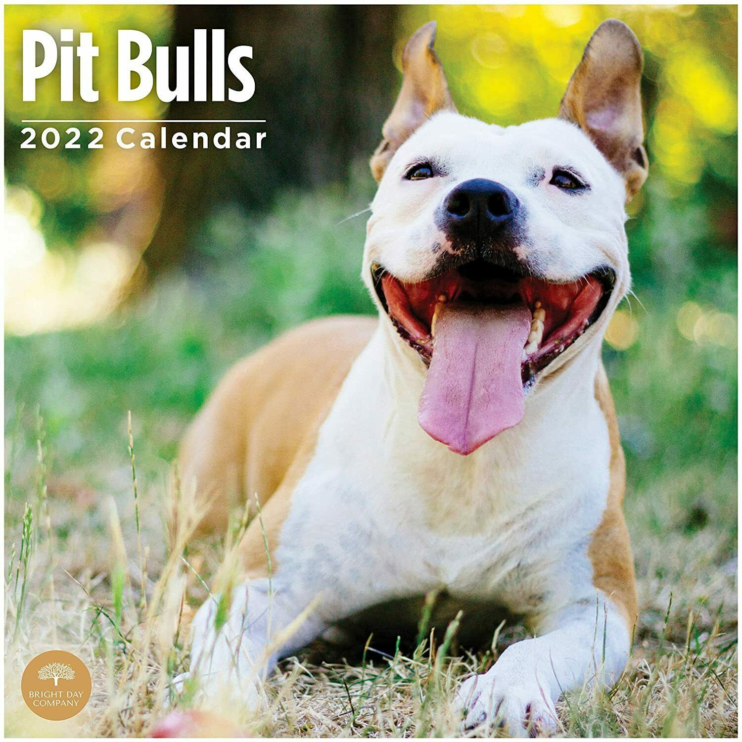 Pitbull 2022 Calendar 12month Calendar Calendar 12"x12