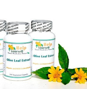 Olive Leaf Extract 100 Vegetarian capsules - $17.95