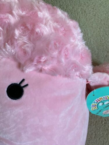 chloe poodle squishmallow